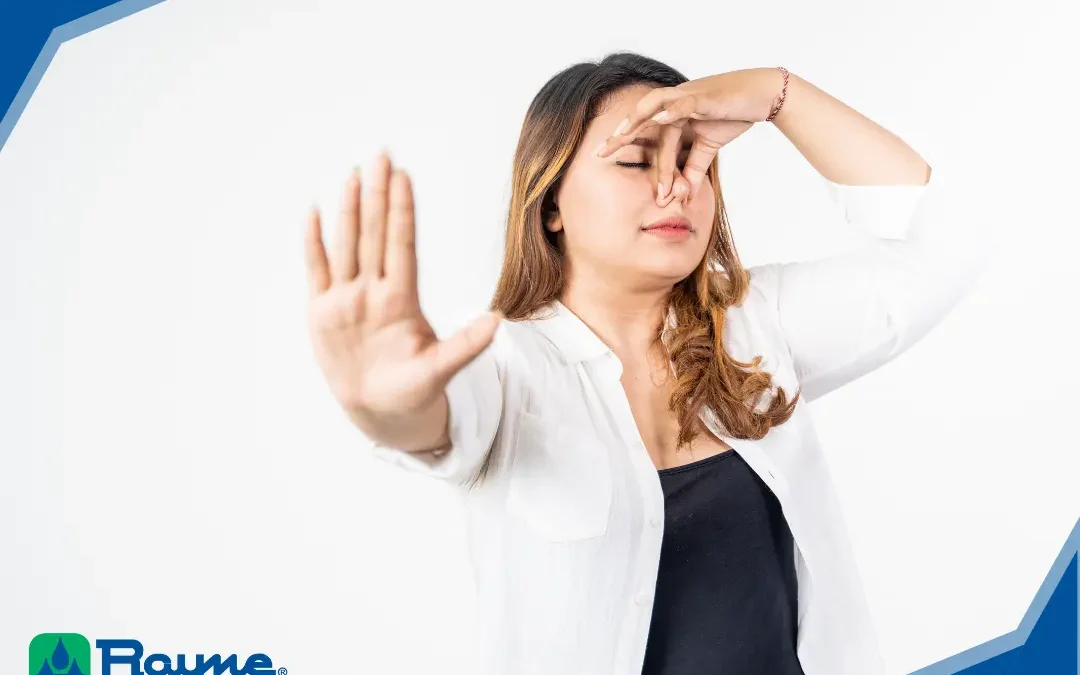 Rotten Egg Smell in Hot Water Heaters