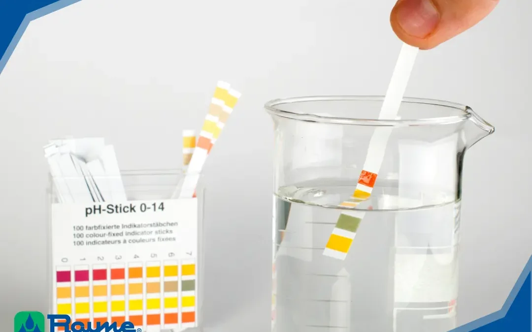 A Look at the pH of Water
