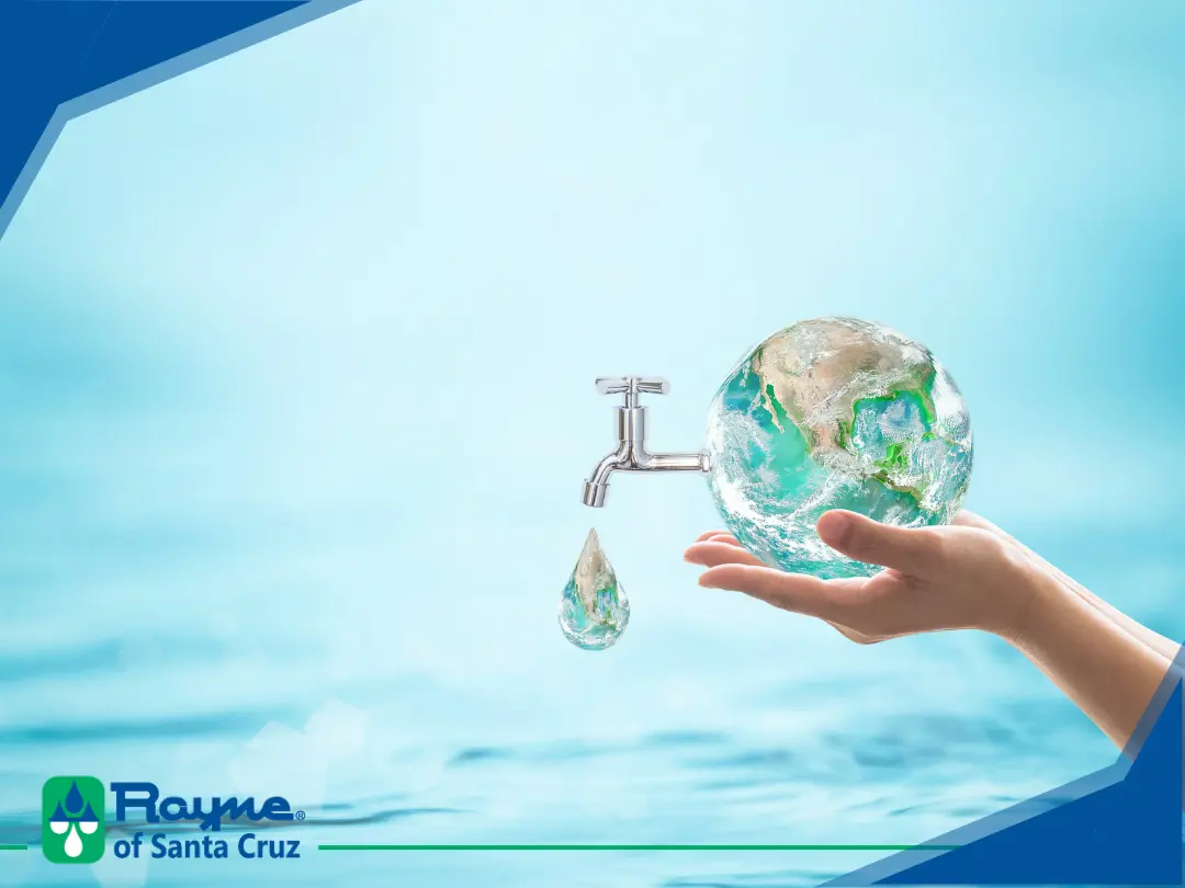 How to celebrate Water Quality Month and preserve water quality for future generations