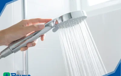 Whole House Water Filters vs. Point-of-Use Systems: What California Homeowners Need to Know