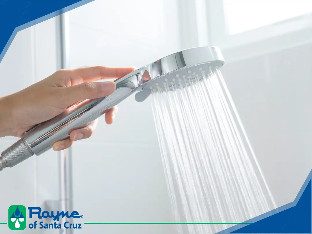 Rayne of Santa Cruz – Whole House Water Filters Whole House Water Filters
