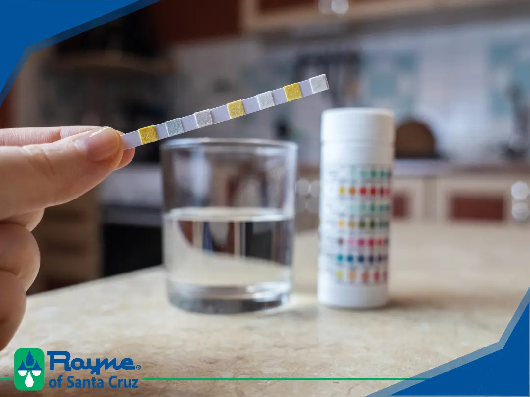 Rayne of Santa Cruz – Water Testing Learn what water testing reveals and why it's important in Santa Cruz County