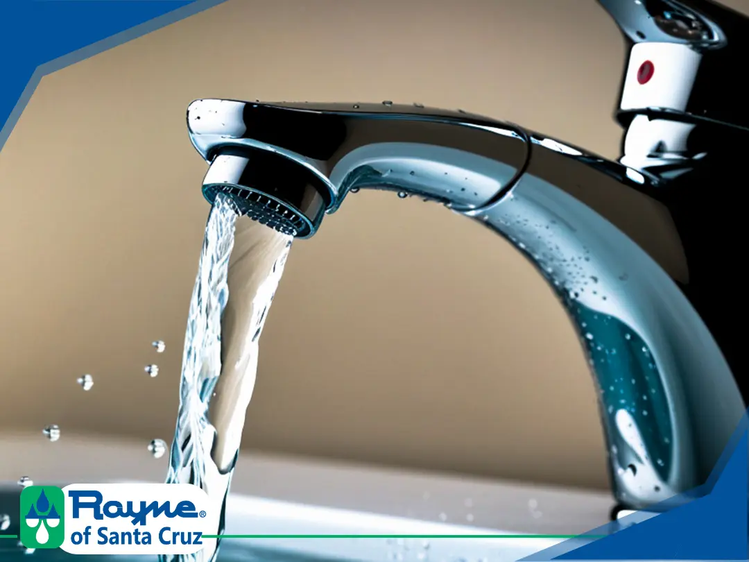 Rayne of Santa Cruz – Hard Water and TDS Learn the differences between hard water and TDS