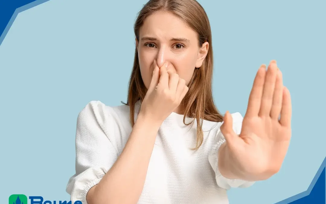 The Rotten Egg Smell: How Hydrogen Sulfide Gets Into Your Well Water (And How to Get It Out)